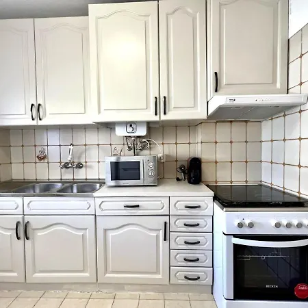 Palm Tree With Pool By Homing