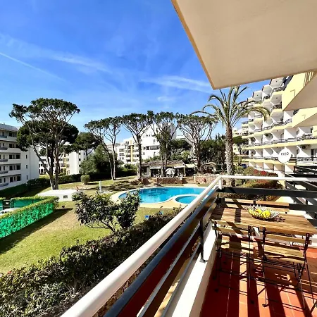 Palm Tree With Pool By Homing