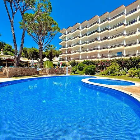 Palm Tree With Pool By Homing Διαμέρισμα *