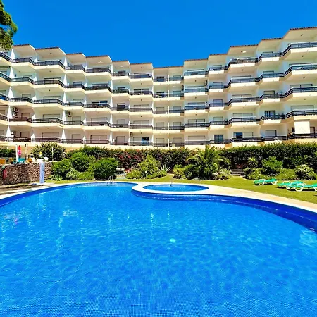 Apartment Palm Tree With Pool By Homing