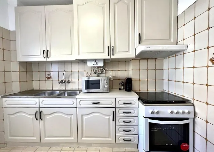 Palm Tree With Pool By Homing